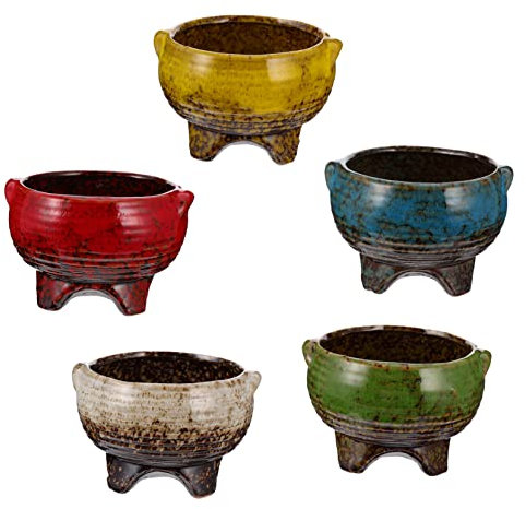 TOYANDONA Maceta de Bonsái de Cerámica 5 Piezas para Cactus y Suculentas