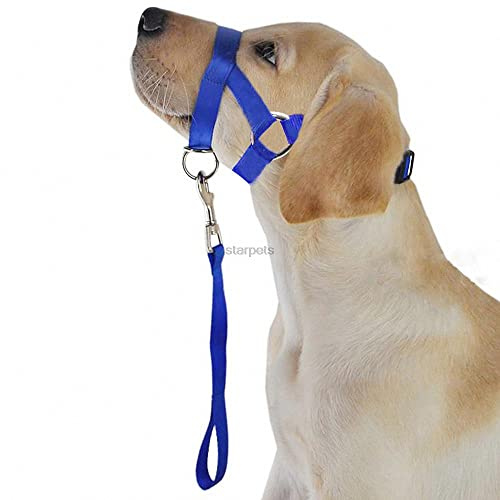 Nylon Dogs Head Collar Dog Training Halter Blue Red Black Colors M L XL XXL Sizes