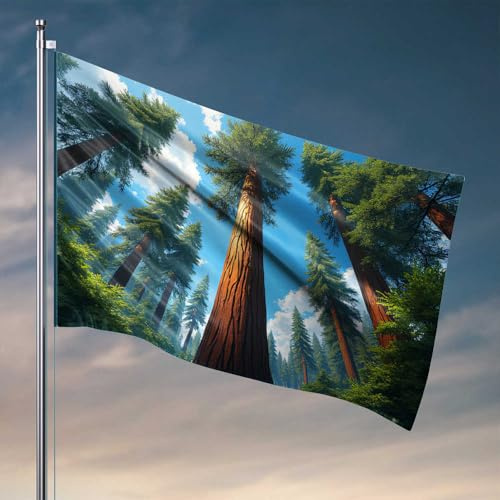 Bandera para hombre, diseño de bosque de secuoyas, árboles majestuosos bajo el cielo azul, banderas para habitación y adolescentes, bandera de jardín de otoño (30 x 45 cm)