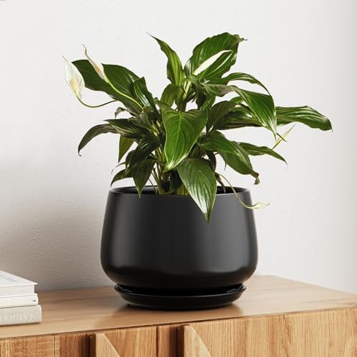 LE TAUCI Blumentopf Keramik mit Untersetzer, 25 cm, Schwarz | Blumentopf Innen mit Abflussloch und Integrierter Untersetzer, Stilvoll und Langlebig, Zuhause & Büro, Geschenk für Mama