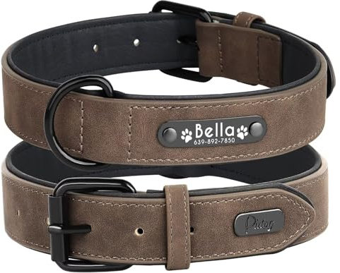 Didog Hundehalsband, weiches, gepolstertes, Leder, mit personalisierbarem, graviertem Namensschild, D-Ring. Für kleine und mittelgroße Hunde geeignet.