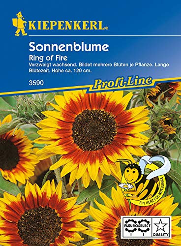 Kiepenkerl 3590 Sonnenblume Ring of Fire (Sonnenblumensamen)