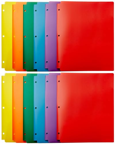 Amazon Basics Plastic 2 Pocket Folders with 3 Hole Punch, Pack of 12, Assorted Color, 24.1 x 0.2 x 29.4 cm (L x B x H)