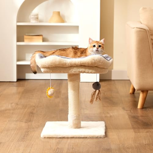 Gardner Pet Liten kattskralle, liten krabpaal med 40 x 30 cm fodrad plattform, 51 cm hög, kattkralle med flätad sisal och plyschboll, lämplig för kattungar, beige