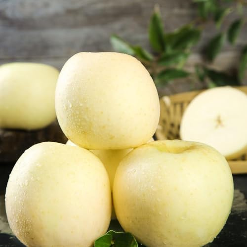 äpfel exotische obstbäume apfelbaum obstpflanzen kübelpflanzen pflanzensamen winterharte für garten, apfel balkon balkon deko balkonpflanzen 150samen