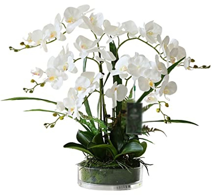 QQWW Large Artificial Silk Moth Orchid Flowers In Transparent Glass Vase Fake Flower Real Touch Phalaenopsis Flowers Arrangements (Color : White)