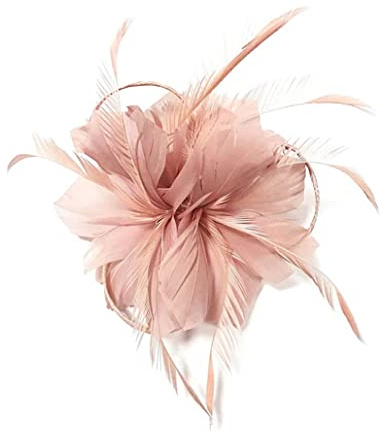 Fascinateurs pour femmes, chapeau en filet de fascinateur de fête courses mariage fleurs, fascinateur avec pince à bandeau pour les décorations mariage