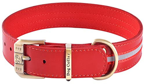 Reflektierendes Echtleder Hundehalsband verstellbar weich gepolstert für kleine, Mittelgroße und Extra Große Hundehalsbänder (Rot, L)