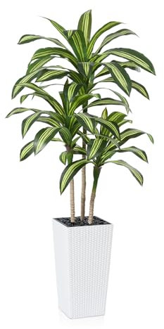 Fopamtri Artificial Dracaena Tree Decorative Plant 180 cm Artificial Plants Indoor, Tropical Fake Plant with White Tall Planter UV Resistant for Outdoor House Office Garden Decoration (1 Pack)