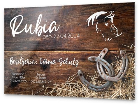 CHRISCK Design Edle Stalltafel Boxenschild Namen und Abstammung Brandzeichen für Ihr Pferd 30x20 cm Pferdebox Pferde-Schilder aus bruchsicherem Hochglanz Acrylglas | kratzfester Druck