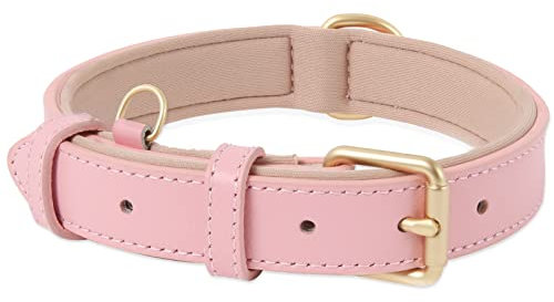 HEELE Hundehalsband Leder Hundehalsband mit gepolstert und echtes Leder, Verstellbar, Halsband für Welpen Kleine Hunde, Rosa, S