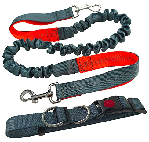 Aiqeer Grigio Guinzaglio Cani Mani Libere, Cintura in Vita Regolabile e Guinzaglio Elastico Retrattile, Guinzaglio Cani Jogging con Cuciture Riflettenti (Manico Arancione)