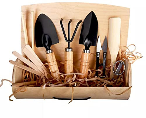 the lux | Mini Gardening Tool Set | 10 Piece Quality Hand Tools for Indoor Plants, Herbs, Potted Flowers, Bonsai, Succulent and Vegetables, Garden Gift Set for Women & Men in a Gift Box