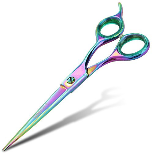 16,5 cm gerade Regenbogen-Haustierschere für die Fellpflege kleiner Hunde – professionelle Präzision und atemberaubende Ergebnisse – komfortables Design – von Fellpflege-Profis vertraut – Hundeschere