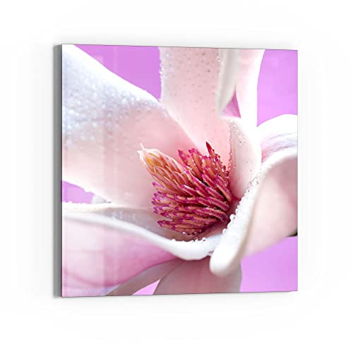 DEQORI Glas-Magnettafel | 50x50 cm groß | Motiv Magnolienblüte | Memo-Board aus Glas | Magnetboard inkl. Magnete, Stift & Tuch für Küche & Büro | Tafel magnetisch & beschreibbar