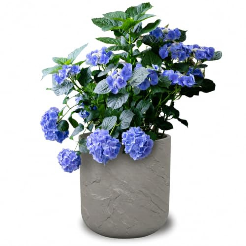 Ondis24 Pflanzkübel Blumenkübel Blumentopf Kunststoff Vulkan 40 rund Schiefer Optik mit Wasserspeicher Winterfest (Grau)