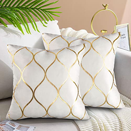 Hanrunsi Velvet Cushion Covers 18x18 Decorative Velvet Sofa Cushions 2 Pack Soft Pillowcases Golden Painted Decorative Throw Pillow Cases White for Sofa Couch Living Room