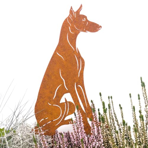Terma Stahldesign Edelrost Hund Verschiedene Rassen, Handmade Germany, tolle gartendeko aus Rost-Metall, deko rostoptik, Rostfiguren Tiere, rostfiguren Garten, Rostdeko (Podenco)