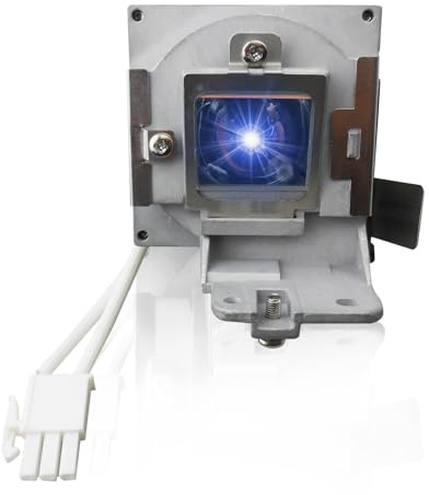 Poxtedsr 5J.J9R05.001 Ampoule de rechange pour projecteur compatible avec Benq MS504, MS524, MS524A, MW526A, MX525, MX525A, avec boîtier