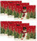 Artoid Mode Schneemann Rot Schals Kiefern Weihnachten Platzsets 6er Set, 30x45cm Urlaub Tischsets Waschbar Platzdeckchen Küche Party Deko