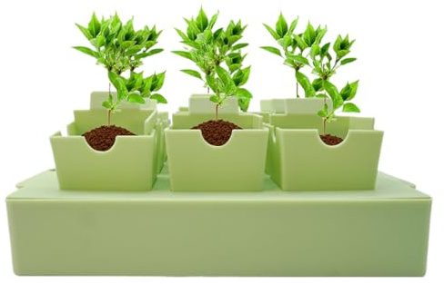 Plant Starter Vassoi - Propagatore Kit Con E Vassoi Di Base Riutilizzabili Serra, Giardino Al Coperto Giardino All'aperto | Trapianto Di Rifornimenti F