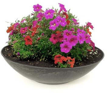 matches21 wetterfeste Pflanzschale für draussen - große Dekoschale in schwarz marmoriert als Blumenschale - Flache Garten Schale in 35 cm für Blumen, Bonsai oder Friedhof Grab-Schmuck