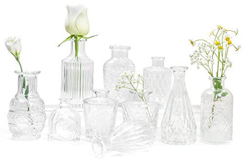 Kleine Vasen 10 Stück Mini Glas Blumenvase Set Verschiedene Größen für Tischdeko Home Hochzeit Dekoration (Transparent)