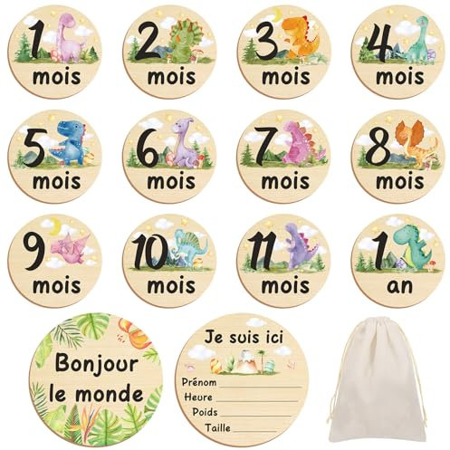 Halinuia Carte Etape Bébé Bois Français, Cadeau de Naissance Bebe, 26 moments de la Naissance à 1 an sur 13 disques en Bois Gravés Recto-Verso, Cartes de Bébé Milestone pour Futurs Parents