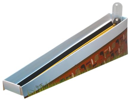 Kit scientifico per Bambini, esperimenti scientifici di rotolamento, Giocattoli Fai da Te per Bambini dai 4 ai 6 Anni