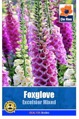 Flower Seeds Foxglove Excelsior Mixed - 2040 Seeds Packet Plant Bedding Borders Containers Pots Grow Your Own Garden Plant Seed