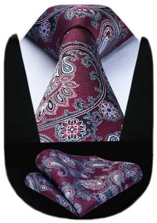 HISDERN Krawatten für Herren Hochzeit Krawatte mit Einstecktuch Paisley Formelle Klassische Herrenkrawatte und Taschentuch Set für Männer