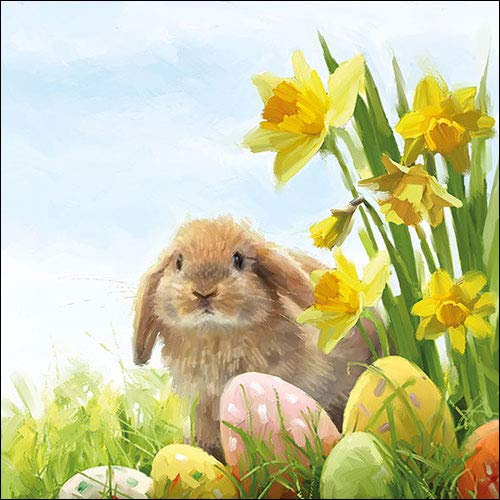 Ambiente Papierservietten - Servietten Lunch/Fest/Party/ca. 33x33cm Hase Fluffy Ostern Frühjahr Sommer Tisch-Deko