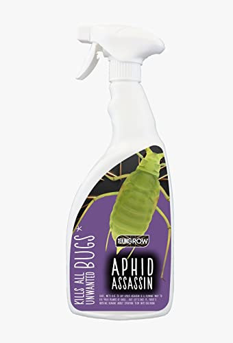 UK GROW:- 1LTR- Aphid Assassin- Powerful Insect Killer Sprays Protect Your Plants from ALL Pests- Perfect For Edible Crops (1 LTR, Aphid Assassin)