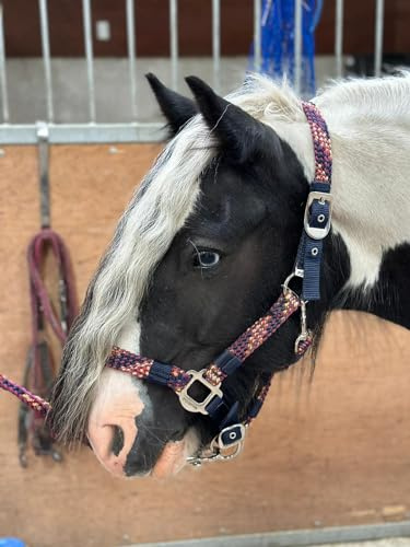 Equipride Geflochtenes Halfter Führstrick Set Größe Full-Shetland Flame (Pony)