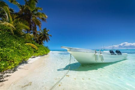 Acryl-Bild 50 x 30 cm: Boot und tropischer Strand im Karibischen Meer, idyllische Insel Saona, Punta Cana, Dominikanische Republik (200450386)