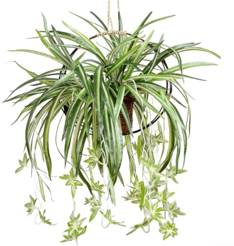 Feeshoppher Artificial Chlorophytum Comosum Hanging Vines, 56cm Realistic Fake Spider Plant with 5 Branches for Home Office Wedding Decor, Green Foliage Stems No Maintenance Required