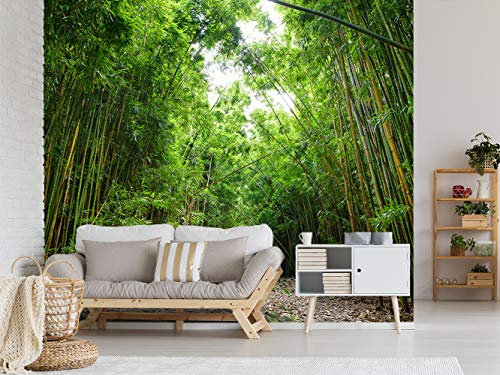 Fotomural Vinilo Para Pared Bosque de Bambú | Fotomural para paredes | Mural | Vinilo Decorativo | Varias Medidas 200 x 150 cm | Decoración comedores, salones, habitaciones...