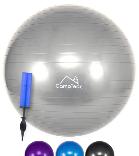 CampTeck U7290 Unisex Palla Fitness Ginnastica 65 cm con Pompa a Mano per Palestra, Yoga, Pilates - Grigio