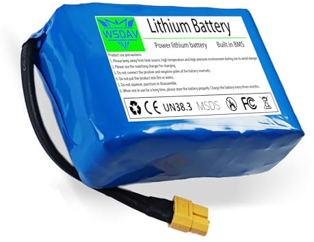 WSDAV Batería de Repuesto para Coche de Equilibrio, 36 V, 2000 mAh, de Iones de Litio, para patinetas, aeropatinetas y Scooters eléctricos de 72 W o Menos.