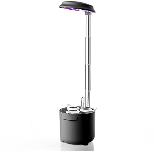 amzWOW Dafne smart Garden, kräutergarten Indoor, hydroponic System, kräutertopf mit bewässerungssystem mit LED-Licht für Pflanzenwachstum, Verstellbarer Höhe und automatischem Timer (Space Grey)