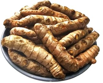 Fresh Turmeric Roots by Oluzon, 500g
