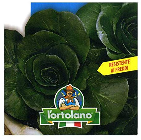 Sementi di ortaggi ibride e selezioni speciali ad uso amatoriale in buste termosaldate (80 varietà) (CICORIA GRUMOLO NERO)