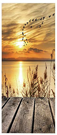 workid 3D Türtapete Türfolie selbstklebend TürPoster PVC Türaufkleber Fototapeten Schilf 77x200 cm