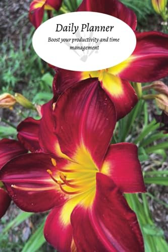 Daylily Flowers Daily Planner: undated, 6x9 100 pages. Boost your productivity and time management