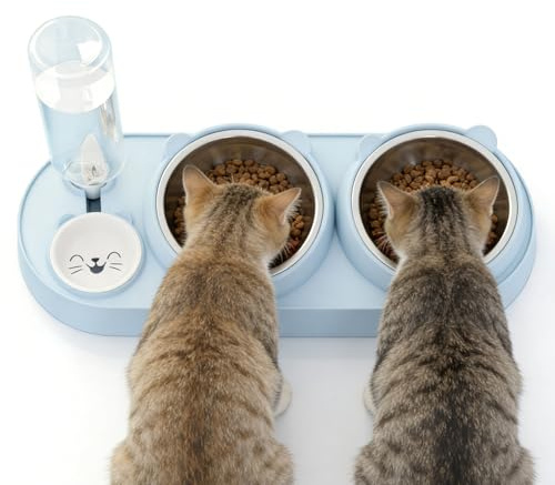 Cat Bowl,PlushPlumage 3 in 1 Cat Food and Water Bowl Set, Tilted Stainless Steel Cat Bowls with Stand, Gravity Water Dispenser, Pet Feeding Station for Cats, Kittens & Small Dogs(Large-Style-A)