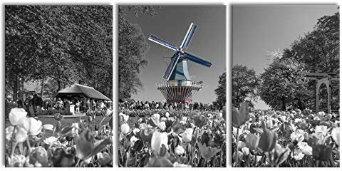 Pixxprint Holländisches Tulpenmeer vor Windmühle B&W Detail, XXL Leinwandbild in Übergröße 240x120cm Gesamtmaß 3 teilig, Wandbild, Kunstdruck