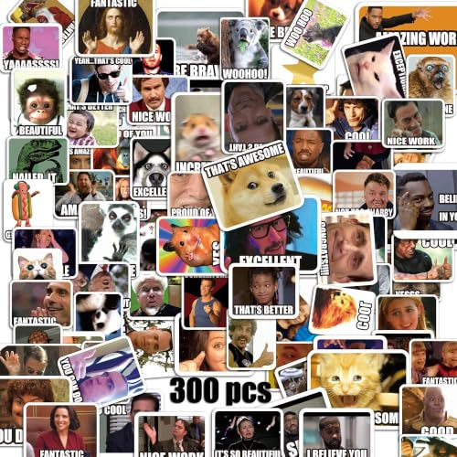 300PCS Meme Stickers for Teachers, Vinyl Stickers, Teacher Reward Stickers | Waterproof funny stickers for kids, teens and adults. Great for classroom rewards, laptops, water bottles, notebooks