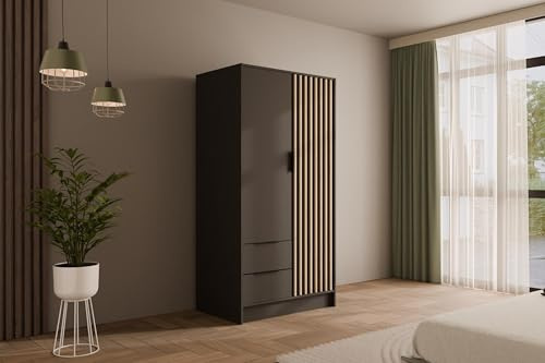 ALTDECOR Kleiderschrank mit selbstschließenden Lamellentüren, Lamellen, Flügeltüren - Nelia - 100 cm Graphit
