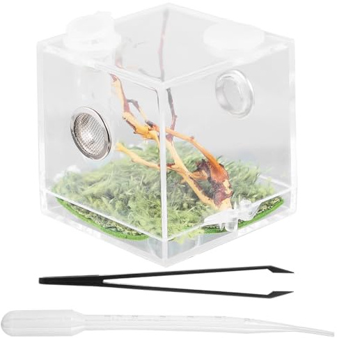 Garneck Juego de terrario de araña de saltar, acrílico transparente para arañas saltadoras, insectos y reptiles, incluye pinzas de alimentación y pipeta, ideal para cría y mantenimiento