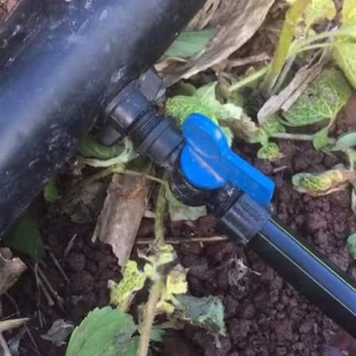 Lot de 50 mini connecteurs de robinet à boisseau sphérique 16 mm pour une installation facile dans les systèmes d'irrigation goutte à goutte